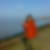 Profilbild von Marion Holdt