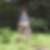 Profilbild von Timm Dollsack
