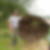 Profilbild von Andreas Woeger