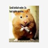 Profilfoto von Petra Schmidt