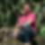 Profilbild von Peter Marr