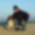 Profilbild von Thomas Hadler