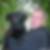 Profilbild von Ralf Schulze