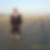 Profilbild von Peter Doden