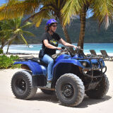 Profilfoto von Nicole Sonnabend