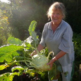 Profilfoto von Friederike Schimke