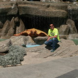 Profilfoto von Mehmet Bodur