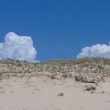 Profilfoto von Renate Haans