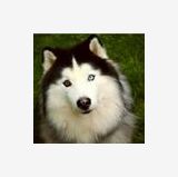 Profilfoto von Monika Bartnik