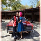 Profilfoto von Mandy Hölzel