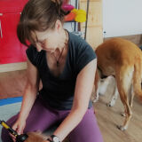 Profilfoto von Sigrid Wagner