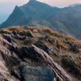 Profilfoto von Arthur Nathan