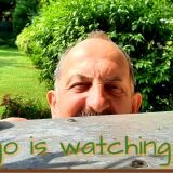 Profilfoto von Ingo Küsel