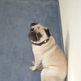 Profilfoto von Mehmet Sahin