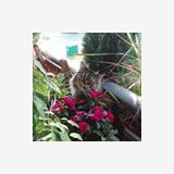 Profilfoto von Manuela Sperling