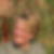 Profilbild von Heike Hanss