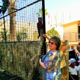 Profilfoto von Simone Haimerl