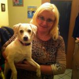 Profilfoto von Birgit Roelke