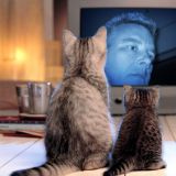 Profilfoto von Patrick O. Bolz