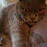 Profilfoto von Esra Erel