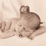 Profilfoto von Dirk Völkel