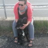 Profilfoto von Martina Wersinski