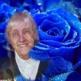 Profilfoto von Monika Tröbs