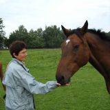 Profilfoto von Marianne Heitmann