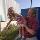 Profilfoto von Dörte Hornung