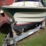 Profilfoto von Wolfgang Thomas