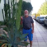 Profilfoto von Hans-Dieter Bröhl