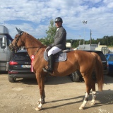 Profilfoto von Enrico Engel