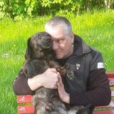 Profilfoto von Schlesinger Marc