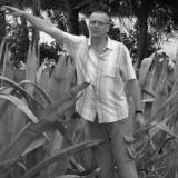 Profilfoto von Hans-Georg Kroiß