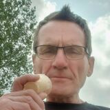 Profilfoto von Harald Hein