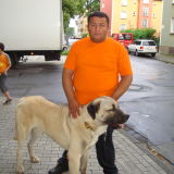 Profilfoto von Erol Bülent