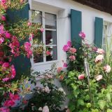 Profilfoto von Christiane Vogt