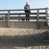 Profilfoto von Brigitte Wolff