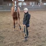 Profilfoto von Birgit Meyer