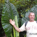 Profilfoto von Heinz Scheerer