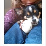 Profilfoto von Jasmin Jung