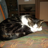 Profilfoto von Gustav Friedel