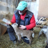 Profilfoto von Thomas Wünsche