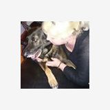 Profilfoto von Carmen Steglich