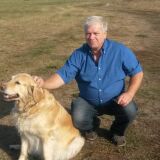 Profilfoto von Klaus Kersandt