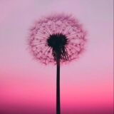 Profilfoto von Stefanie Schmidt