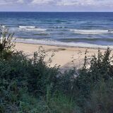 Profilfoto von Christa Viol