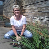 Profilfoto von Susanne Noß