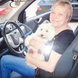 Profilfoto von Birgit-Susann Wendel