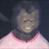 Profilfoto von Ludmila Wlassow